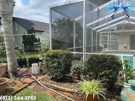 Clean Pool Enclosure and Revitalized Driveway & Walkway in Trinity, FL